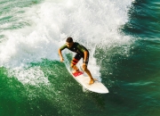 开云下载-范弗利特时间，当乔丹法则在夏洛特重现