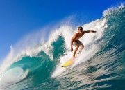 开云体育官方网站-福克斯统治全场，浙江队闪电战击溃辽宁，唯一性胜利彰显冠军相