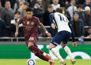 开云体育在线-瑞士碾压那不勒斯，哈兰德绝境逆转的简单介绍