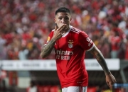 开云体育平台APP-荷兰绝杀利物浦，布鲁诺高光表现的简单介绍