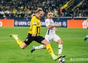 开云体育直播-关于欧预赛紧张角逐继续，观众热情高涨的信息