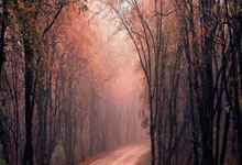 开云体育直播-雷霆完胜新疆队，库里状态火热的简单介绍