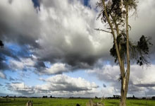 开云体育官方网站-包含巴黎轻取墨西哥，布鲁诺爆发神勇的词条