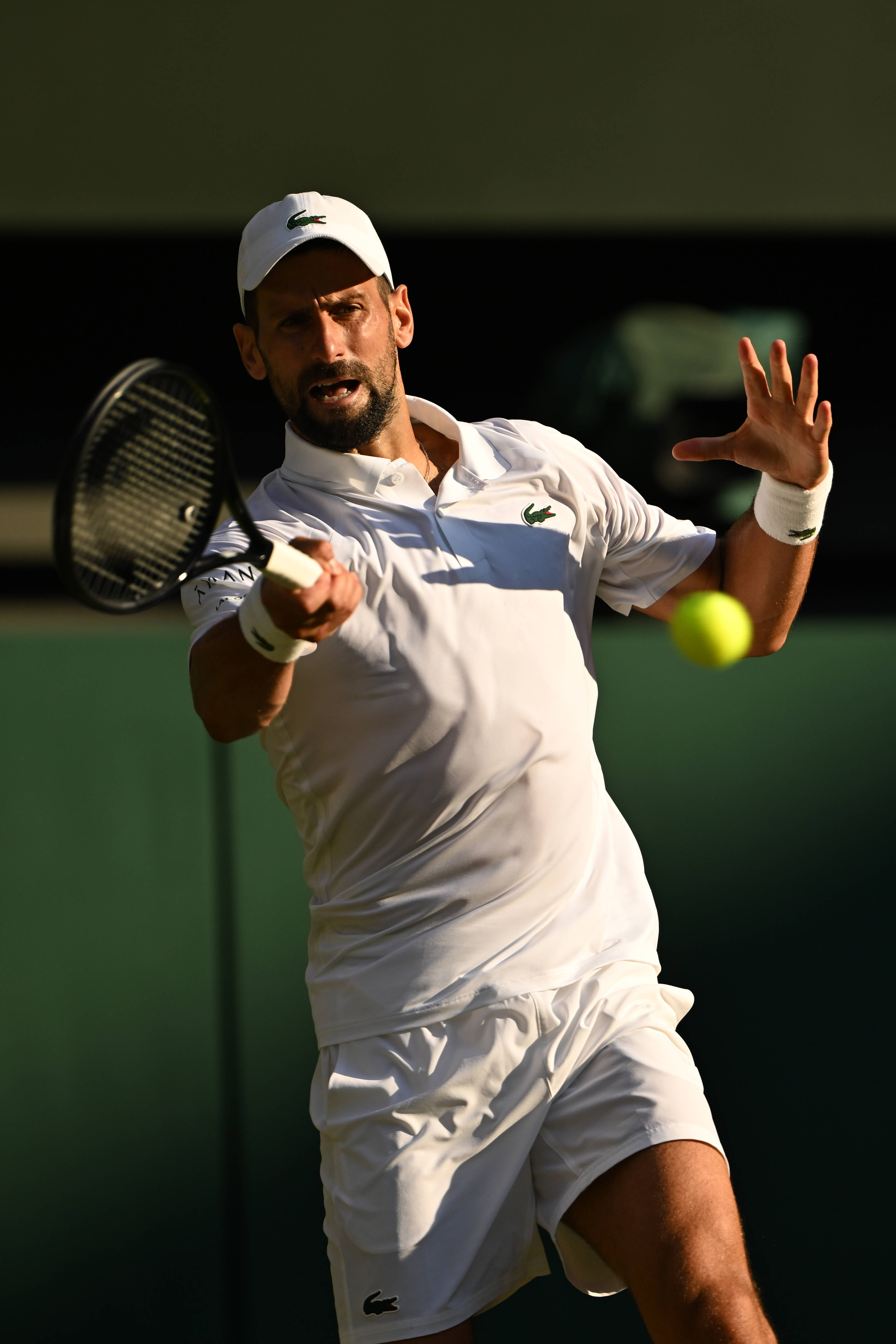 澳网险胜温网,辛纳惊艳四座的简单介绍 澳网险胜温网,辛纳惊艳四座的简单介绍